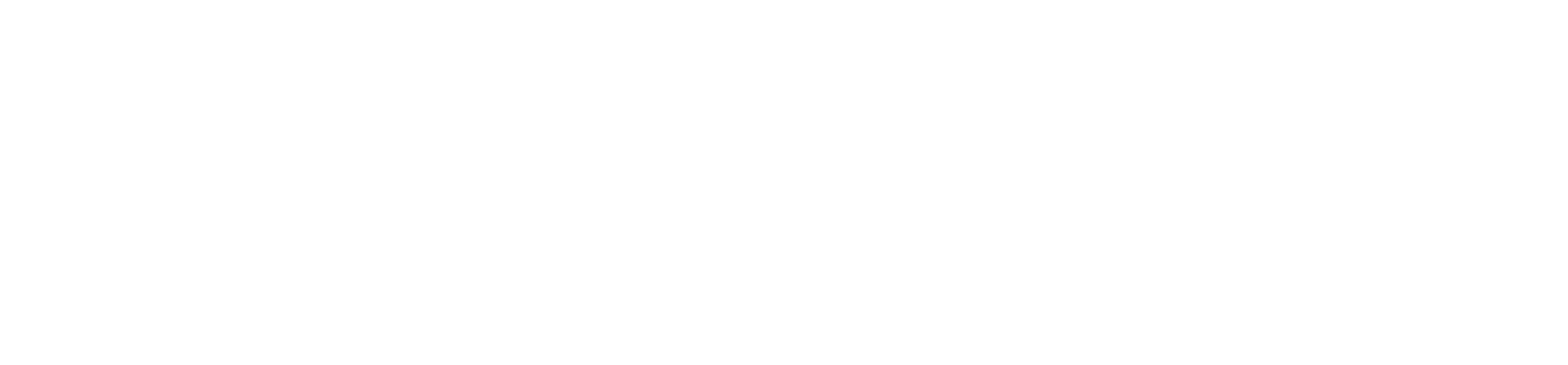 Winnipeg Foundation logo